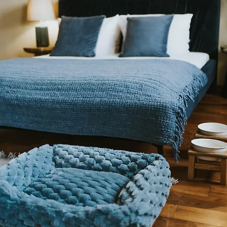 Bogoria House 4* Krasków